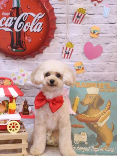 20230920リコちゃん